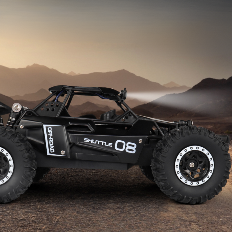 Dia Das Crianças Rally Truck 4x4 - O Mais Rápido do Mundo